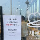 월야5일시장 이미지