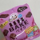 수다양품점 | 🇯🇵 기타큐슈 유학 #7