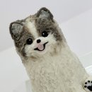 오븐앤도그 이미지