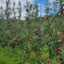 수형축산 이미지