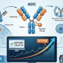 K.B바이오 | AACR·ASCO 앞두고 이 바이오주들이 움직인다 — 상반기 핵심 종목 정리