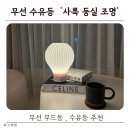 두-둥실 | 무선 무드등 수유등 추천 | 사륵 둥실 조명 후기