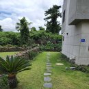 신트라움 이미지