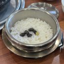 2박 3일 국내여행 검마산 자연휴양림 야영데크 반려동물 동반 캠핑 후기 (곱창파는청년들, 우대갈비...