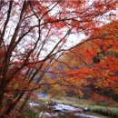 논어 함께 읽기 | 오거서(五車書)ᆞ5 : 외로운 떨림으로 열리는 우주 ㅡ 이종민 엮음 <김사인 함께 읽기>