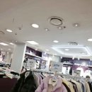 광명뉴코아더데이걸