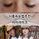 인테리어금손