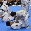 구로주짓수&MMA, 레슬링 | 구로주짓수)(개봉주짓수)아토스 코리아 팀타이런트 구로지부 구로주짓수 겨울 주짓수 캠프및 승급...