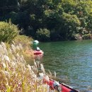 소양호 뱃터 이미지