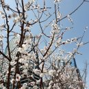 해맑은세종스튜디오
