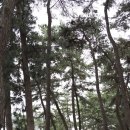고하도 조선 육지면발상지비 | 케이블카 타고 떠나는 [고하도 이순신 유적지 순례단] - 유달산 봄축제 체험 프로그램