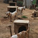 지에스농장 이미지