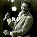 I've Been Loving You Too Long - Otis Redding 이미지