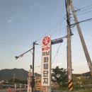 불가리 세르펜티 바이퍼링 화이트 골드 구매후기 (웨딩밴드 졸업, 15만원 할인 tip )