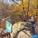 관악산 무장애숲길 | 관악산 무장애숲길 누구나 쉽게 정상까지 갈 수 있는 데크 산책로