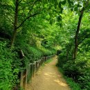 성산근린공원 이미지