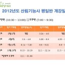 푸른잎사귀 이미지