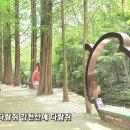 하늘비천우