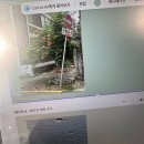 29170-3-B-05 | [26년 05월 블로그] 종강!! 소개시켜줘야쥬 종강없냐종강