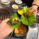 정윤 | 의정부 금오동 맛집 밥집 정윤식당 숙성고기 후기