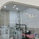 강아지 미용실 이미지