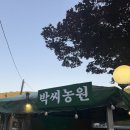한박농원 네이버블로그