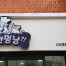 너만멍냥 이미지