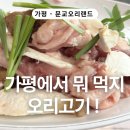 켄싱턴리조트 가평 노동조합 | 가평맛집추천 문교오리랜드｜4살 아이랑 외식, 아침고요수목원 근처 맛집