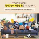 정리수납 이미지