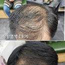 두피도 살리고 모발도 풍성해지는 큐사랑 팡팡염색 실제 후기