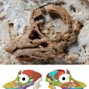 토포엔지니어링 | 공룡 : 배아 사우로포드의 첫 3D 모델이 새로운 얼굴 특징을 밝혀