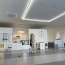 댕댕빌리지 이미지