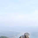 재롱이네 이미지