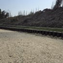 연희중학교 이미지