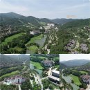 성실목장 | 강원 용평CC + 버치힐CC 3월 개장 확정! 1박2일 봄맞이 골프 패키지 카트포함 특가