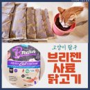 궁금해서 구매한 한고연에서 만든 브리젠 사료 내돈내산 솔직 후기