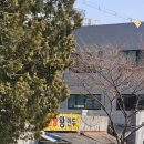 옛날찐빵왕만두 이미지