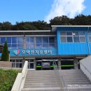 용천사 치유센터 이미지