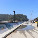 학암포 해당화 이미지