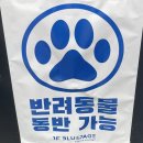 페이지레스토랑 | 서울 서초 한강뷰 레스토랑 추천, 블루페이지 와인바 데이트 맛집 후기 주차정보