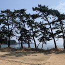 솔모루펜션 - 34777 | 솔모루펜션