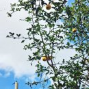 야음장생포행정복지센터 이미지