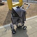 비발디의아침 이미지