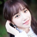 컬러라이즈