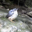 이박목장 이미지