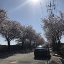 위더스 동물메디컬센터 부설 동물보호센터 | 포인핸드 유기견 입양/여주 위더스동물보호센터