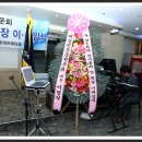 진도서초등학교 이미지