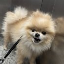 파라다이스유치원 이미지