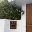 11500-5-48-105 | W6-2. 💍스튜디오 촬영 후기: 알마스튜디오(ALMA) 하프 촬영