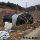 동산면사무소 이미지